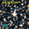 HD 319336
