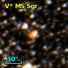 V* MS Sgr