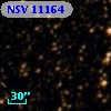 NSV 11164