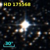 HD 175568