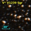 V* V1239 Sgr