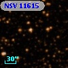 NSV 11615