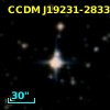CCDM J19231-2833B