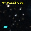 V* V1116 Cyg