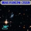 IRAS F19570-2559