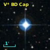V* BD Cap