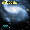 SN 2004bv