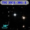 TYC 3921-301-1