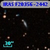 IRAS F20356-2442