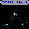 TYC 3921-1001-1