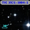 TYC 3921-1004-1