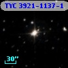 TYC 3921-1137-1
