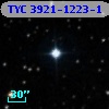 TYC 3921-1223-1