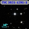 TYC 3921-1291-1