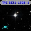 TYC 3921-1309-1
