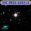 TYC 3921-1312-1