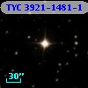 TYC 3921-1481-1
