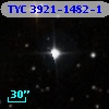 TYC 3921-1482-1
