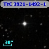 TYC 3921-1492-1