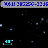 [A81] 205256-2216