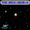 TYC 3921-1829-1