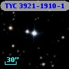 TYC 3921-1910-1
