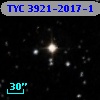 TYC 3921-2017-1
