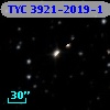 TYC 3921-2019-1