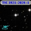 TYC 3921-2028-1