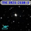 TYC 3921-2110-1