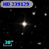 HD 239129