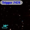 Trigger  7428