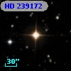 HD 239172