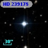 HD 239178