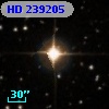 HD 239205