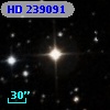 HD 239091