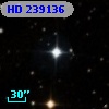HD 239136