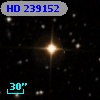 HD 239152