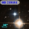 HD 239181