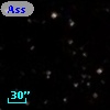 Ass Sco OB   2-12