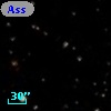 Ass Sco OB   2-16