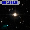 HD 239193