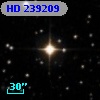 HD 239209