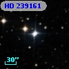 HD 239161