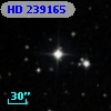HD 239165