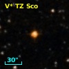 V* TZ Sco
