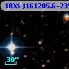 1RXS J161205.6-235442