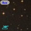 Ass Sco OB   2-31