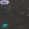 Ass Sco OB   2-33