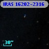 IRAS 16202-2316